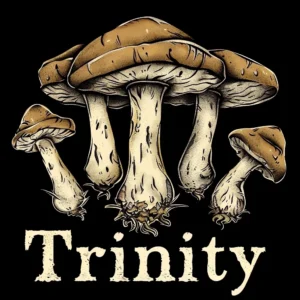 Trinity