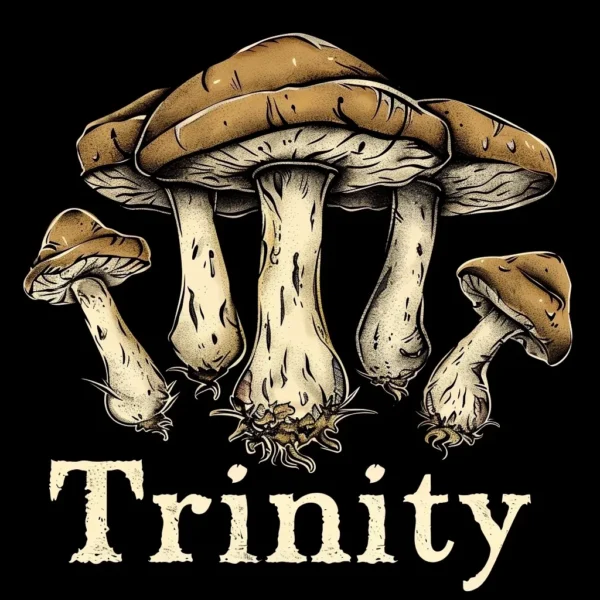 Trinity
